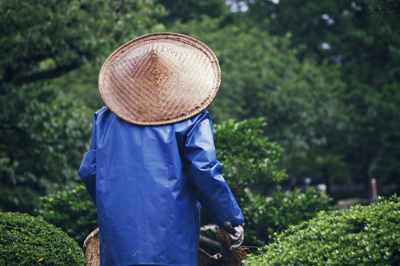 Aménagement d’un potager : astuces pour cultiver vos légumes toute l’année